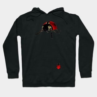 ladybug Hoodie